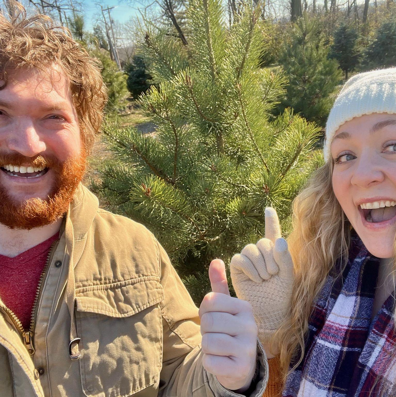 We found our first Christmas tree!