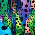 Tampa Museum of Art
