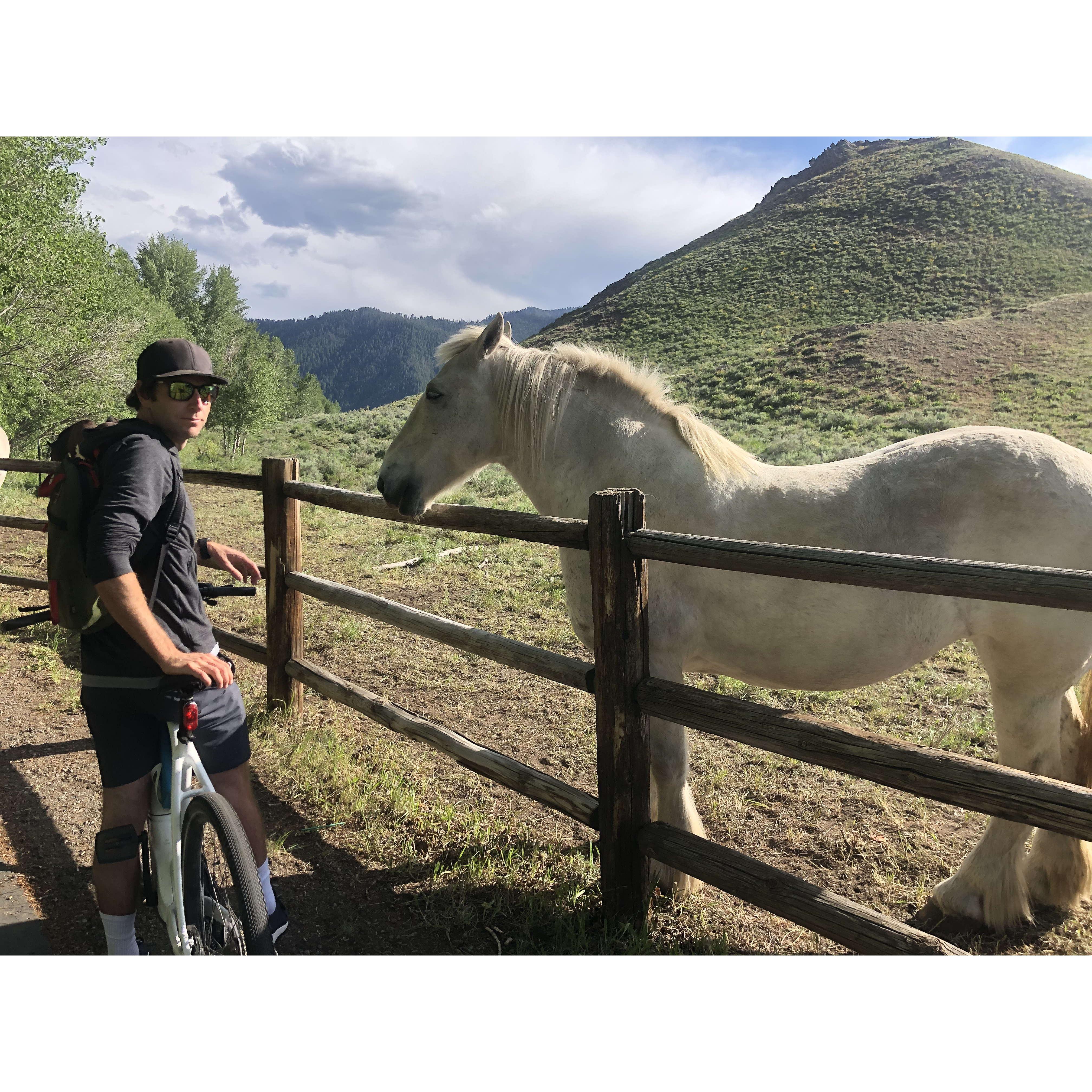 Jun 2020 - Biking around Sun Valley