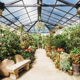 Vallarta Botanical Gardens