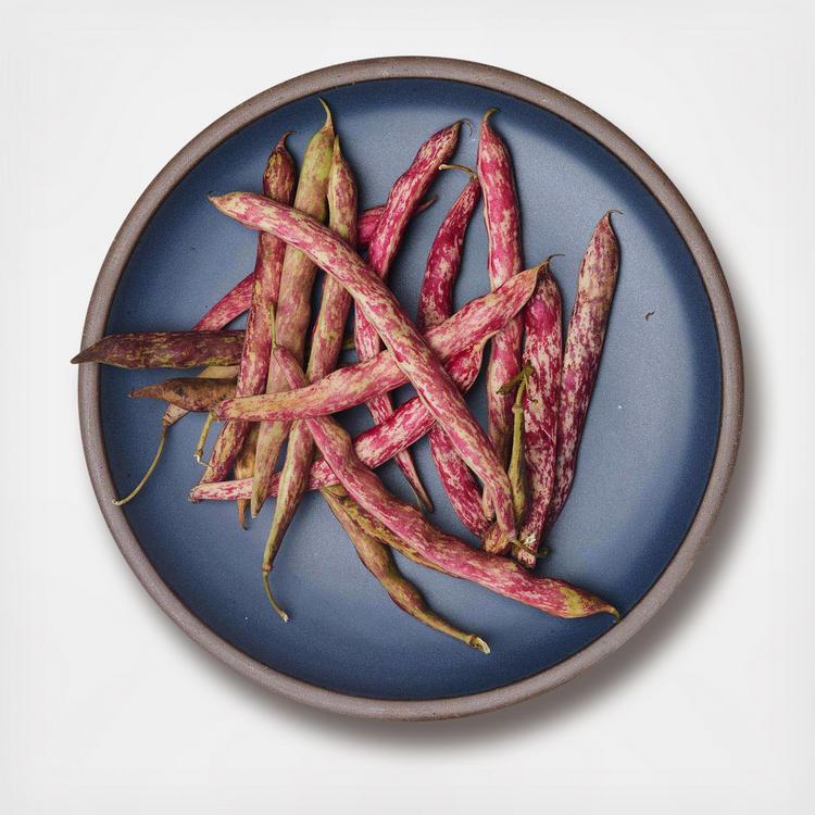 East Fork Pottery, Dinner Plate, Set of 4 | Zola