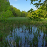 Johnson Moraine Trail