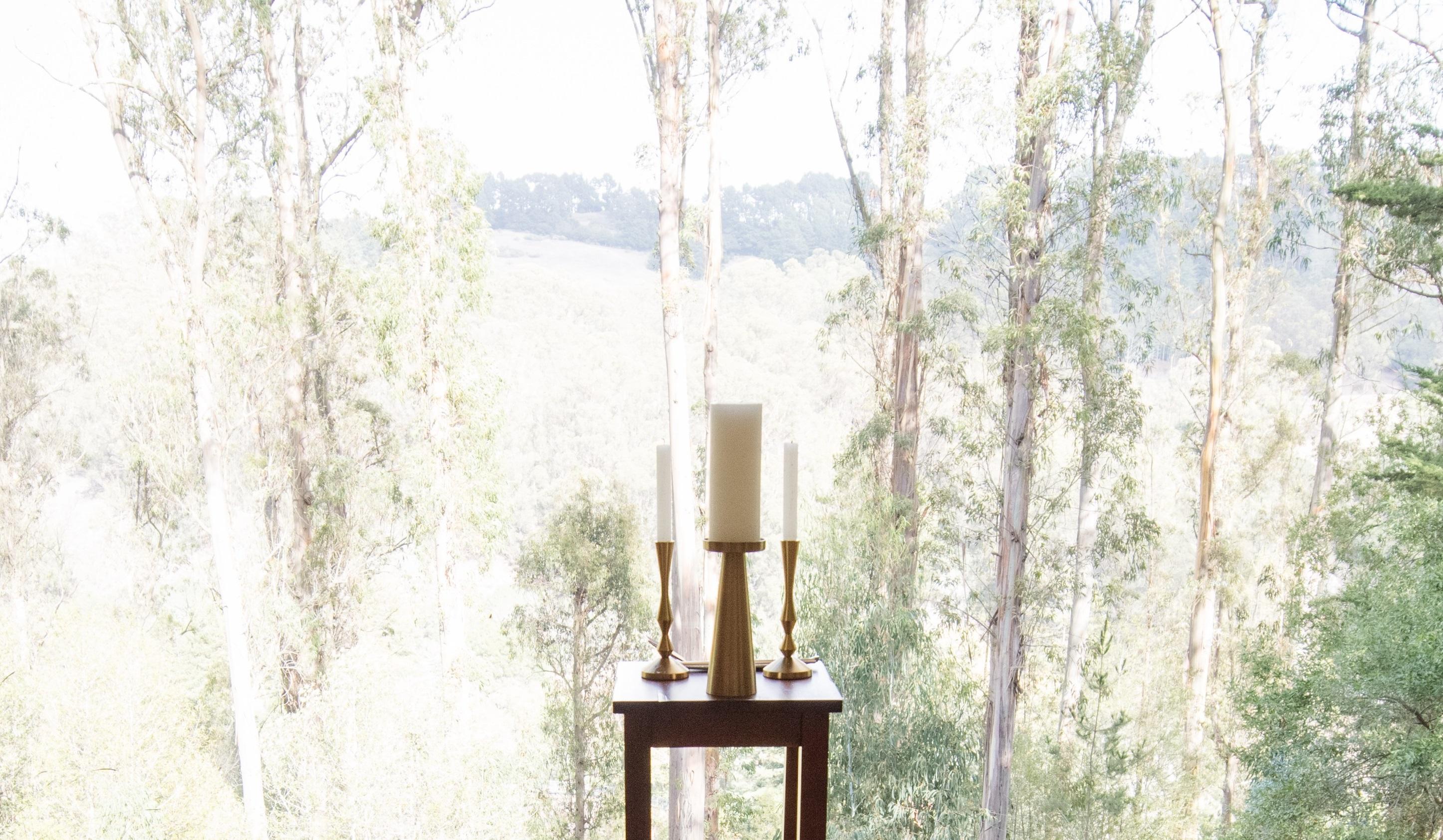 The Wedding Website of Alysia Simmons and Janaus Burnette