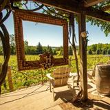 Old Mission Wine Tour