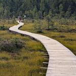 Nature Trail & Freshwater Swimming