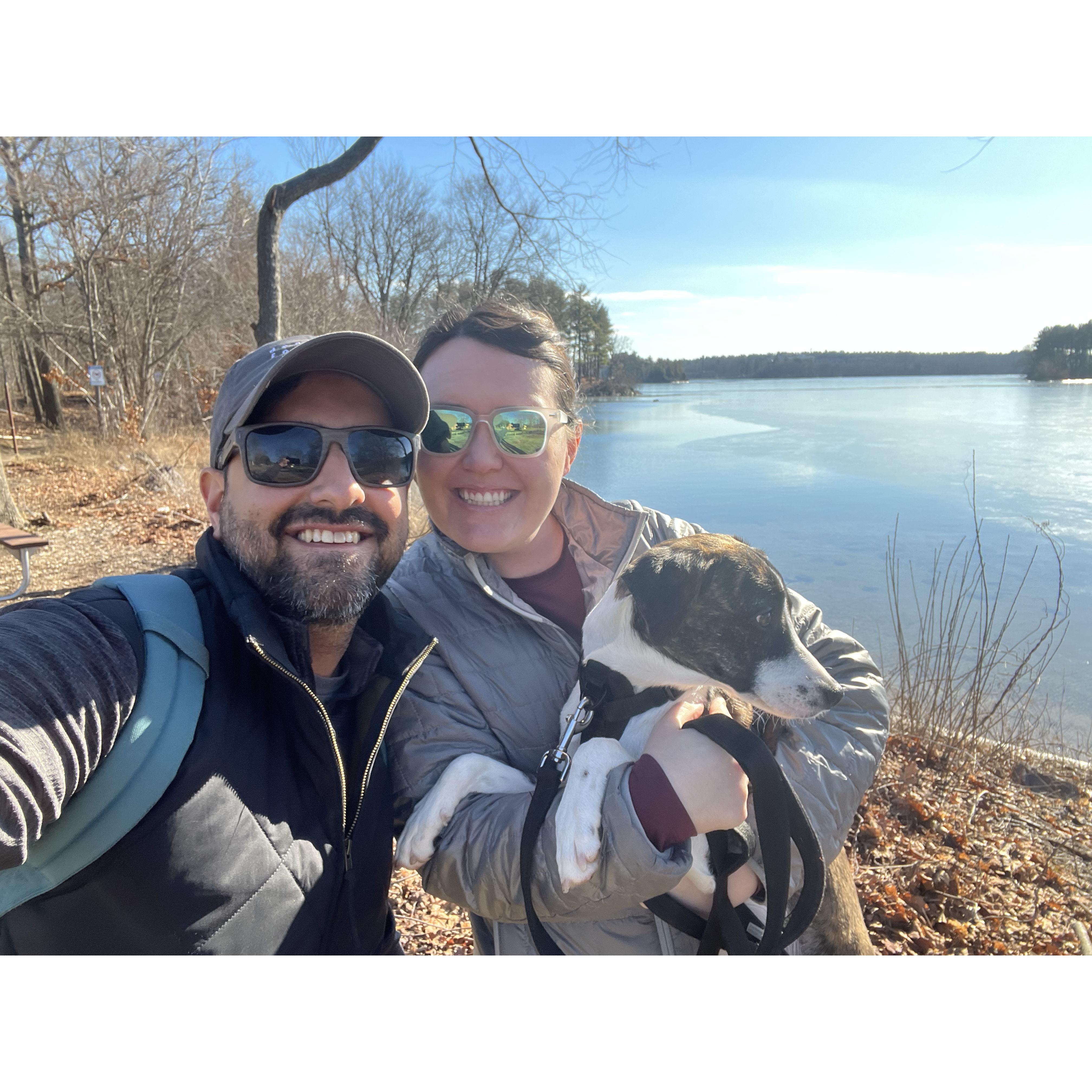 Hiking the Fells with Penny!
