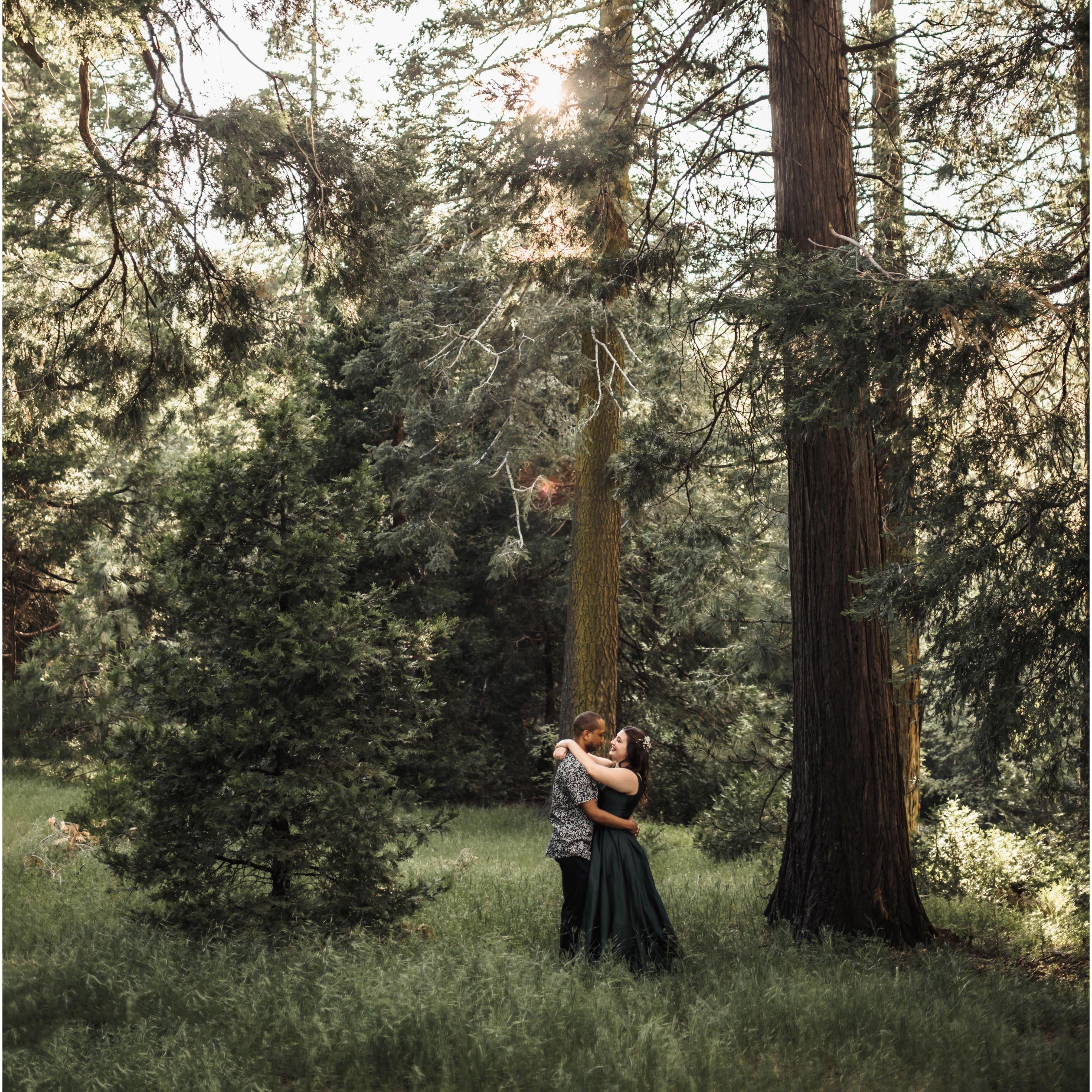 ENGAGEMENT PHOTOS - CASSY SMITH PHOTOGRAPHY