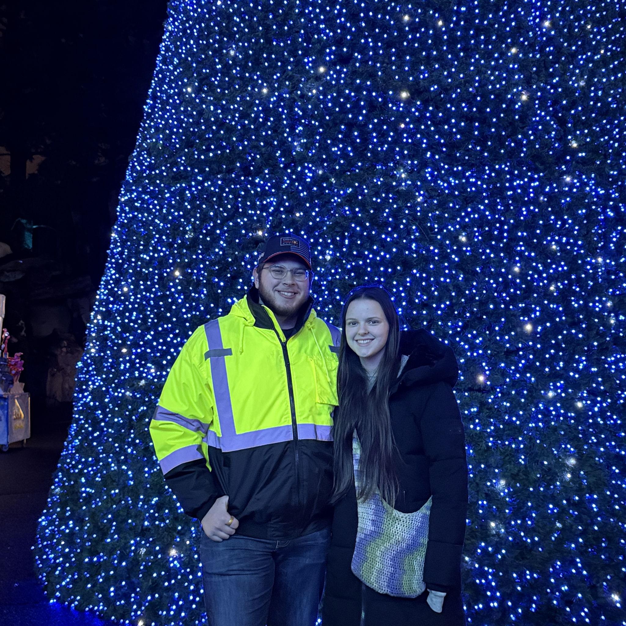 Zoo lights, 2024