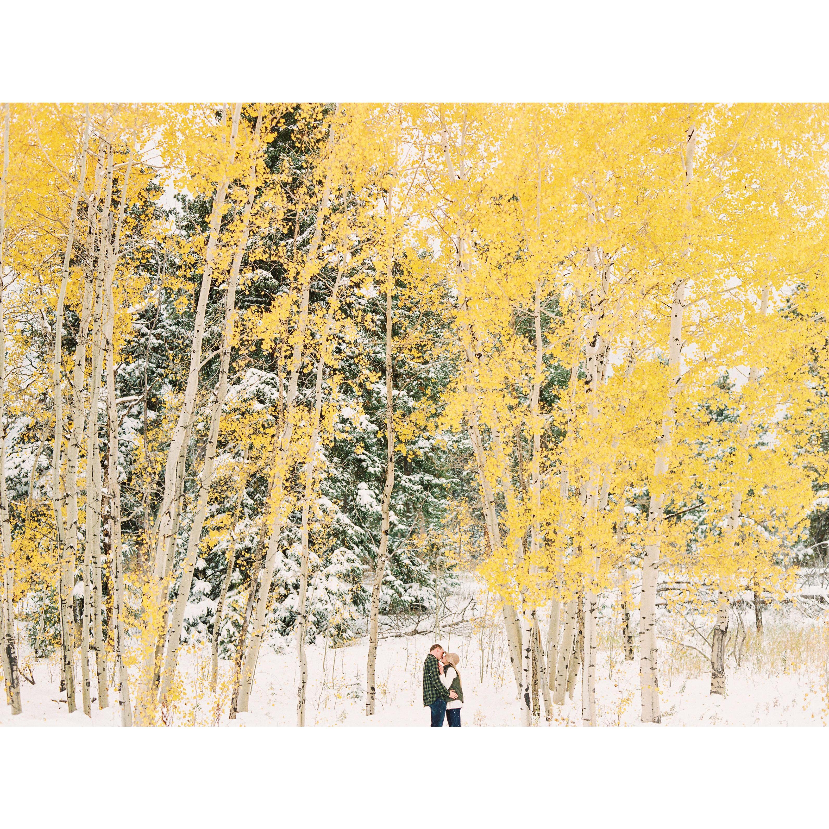 Conifer, Colorado