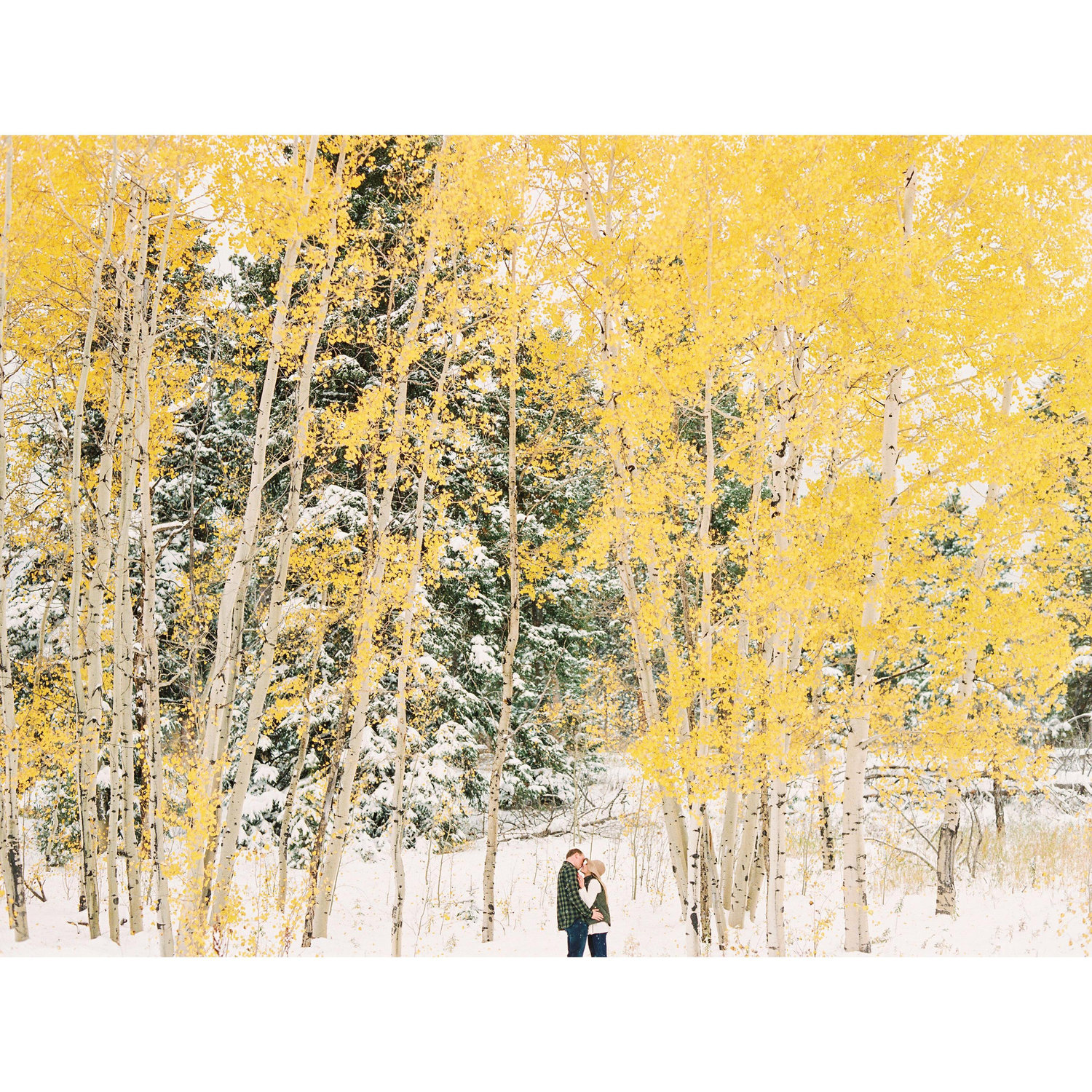 Conifer, Colorado