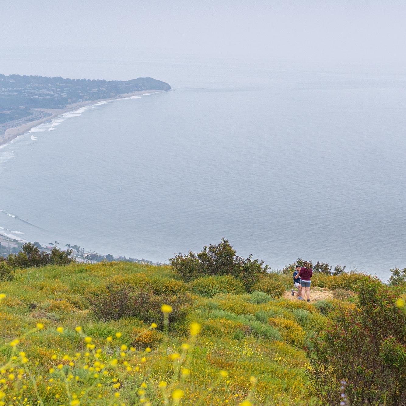 Engagement in Malibu, 4/20/2024