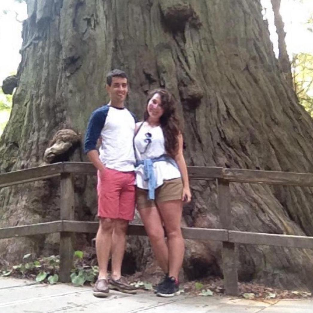 Trees of Mystery.
RedWood forest, CA.
2015.