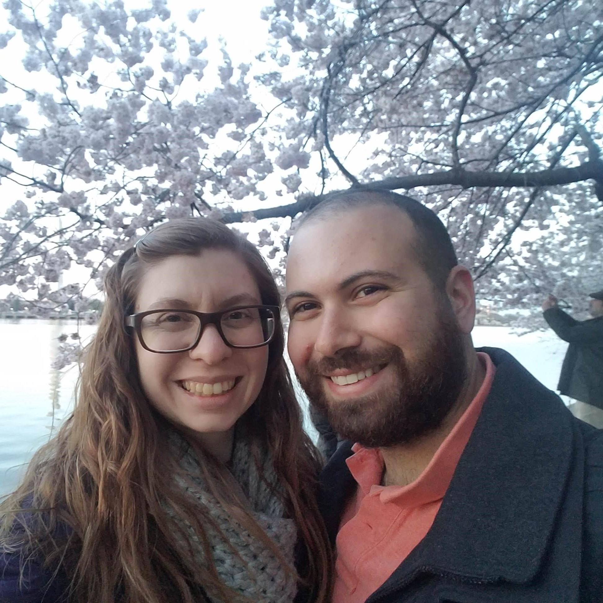 Cherry blossoms in DC