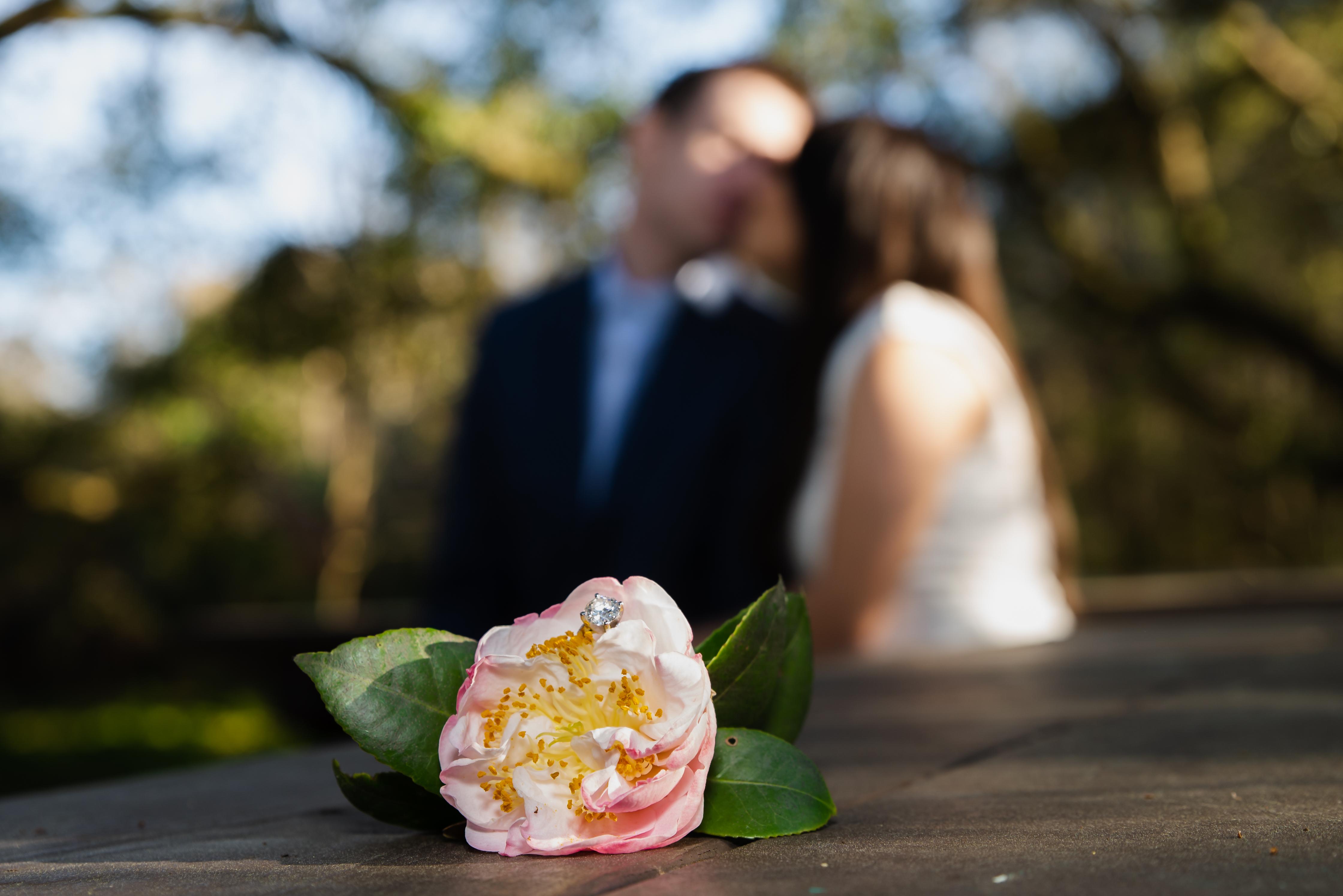 The Wedding Website of Taylor Noverola and Dylan Schaul