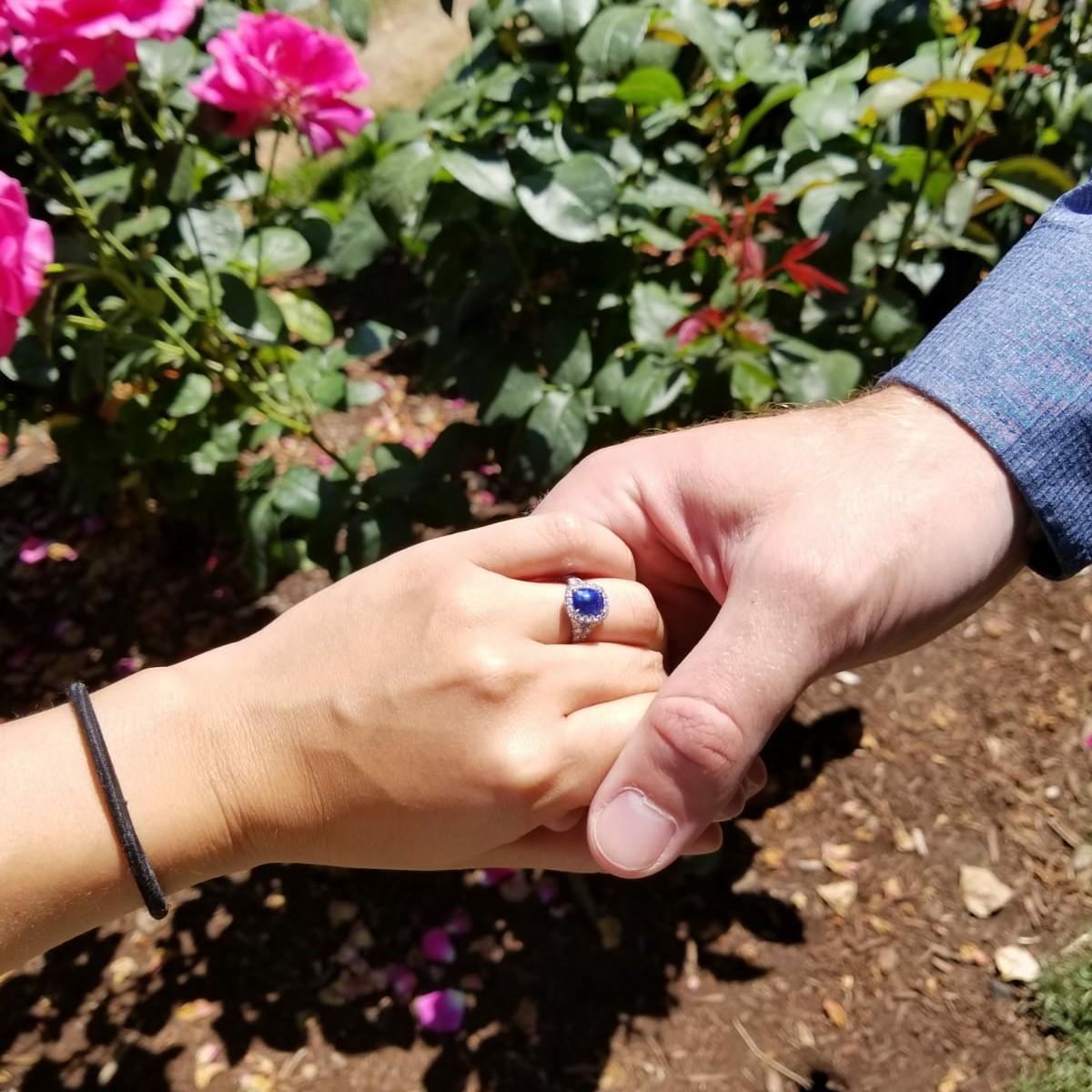 Portland rose garden