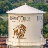 Buffalo Trace Distillery