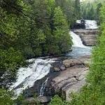 Dupont State Recreational Forest