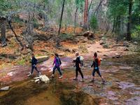 West Fork Trail
