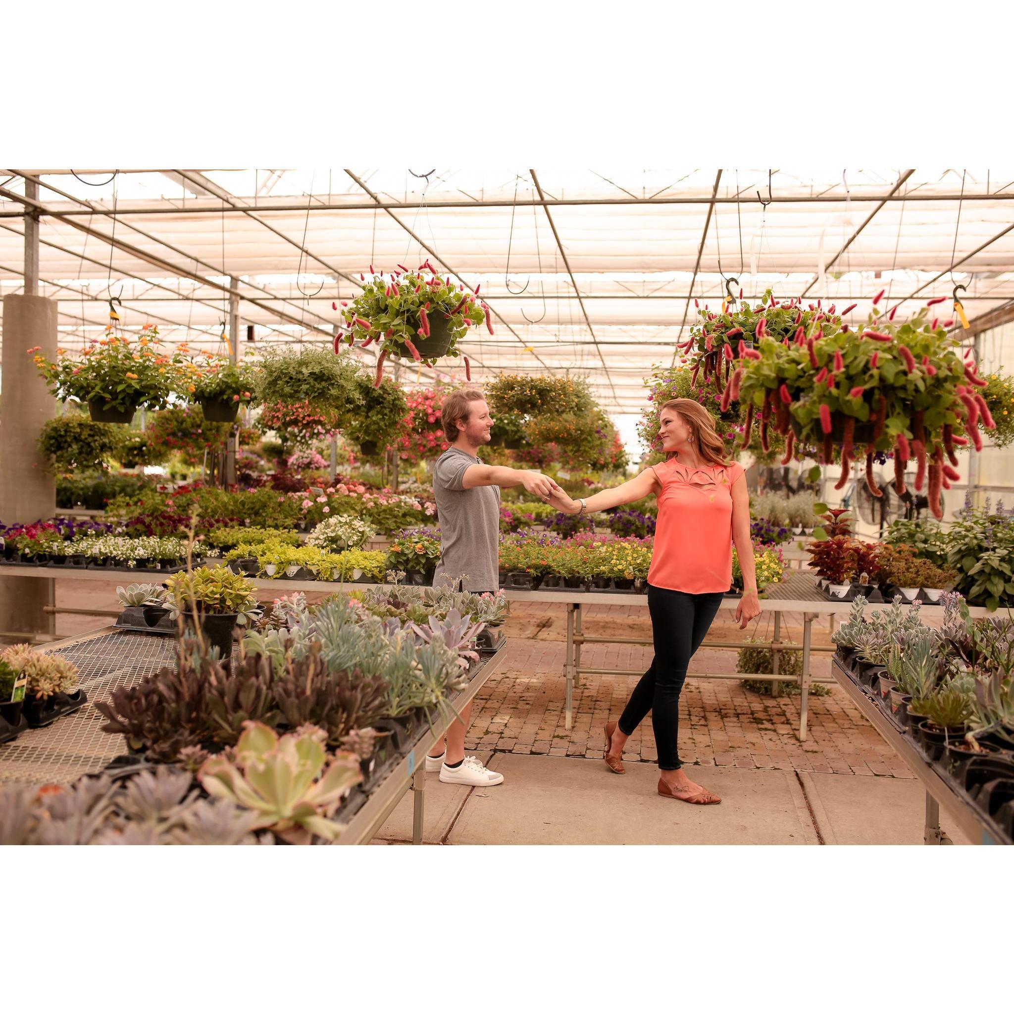 Engagement session at Rosie's Flower Nursery.