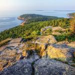 Gorham Mountain Trail