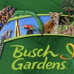 Busch Gardens Tampa Bay