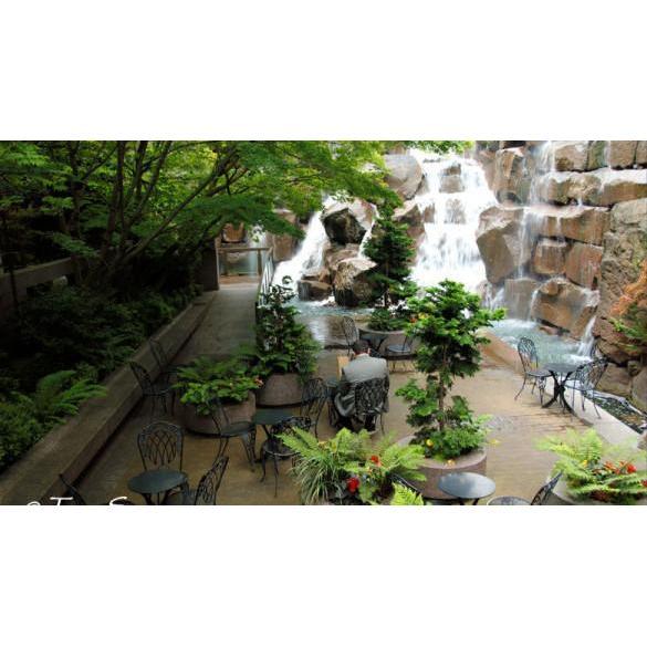 Waterfall Garden Park
