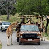 Fossil Rim Wildlife Center
