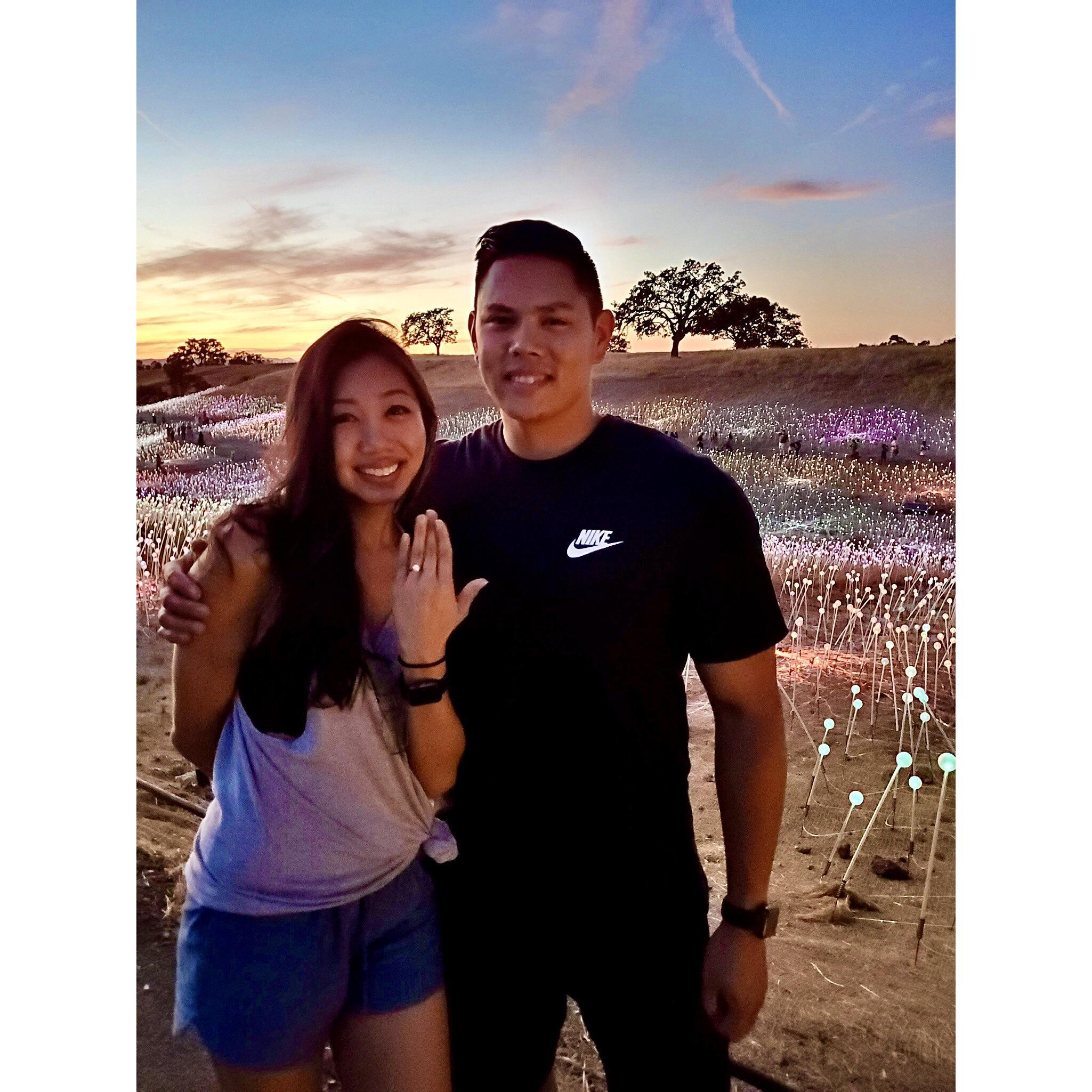 She said YES!!! (Sensorio: Field of Lights by Bruce Munro - Paso Robles, CA)