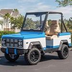 Lake Life Golf Cart Rentals