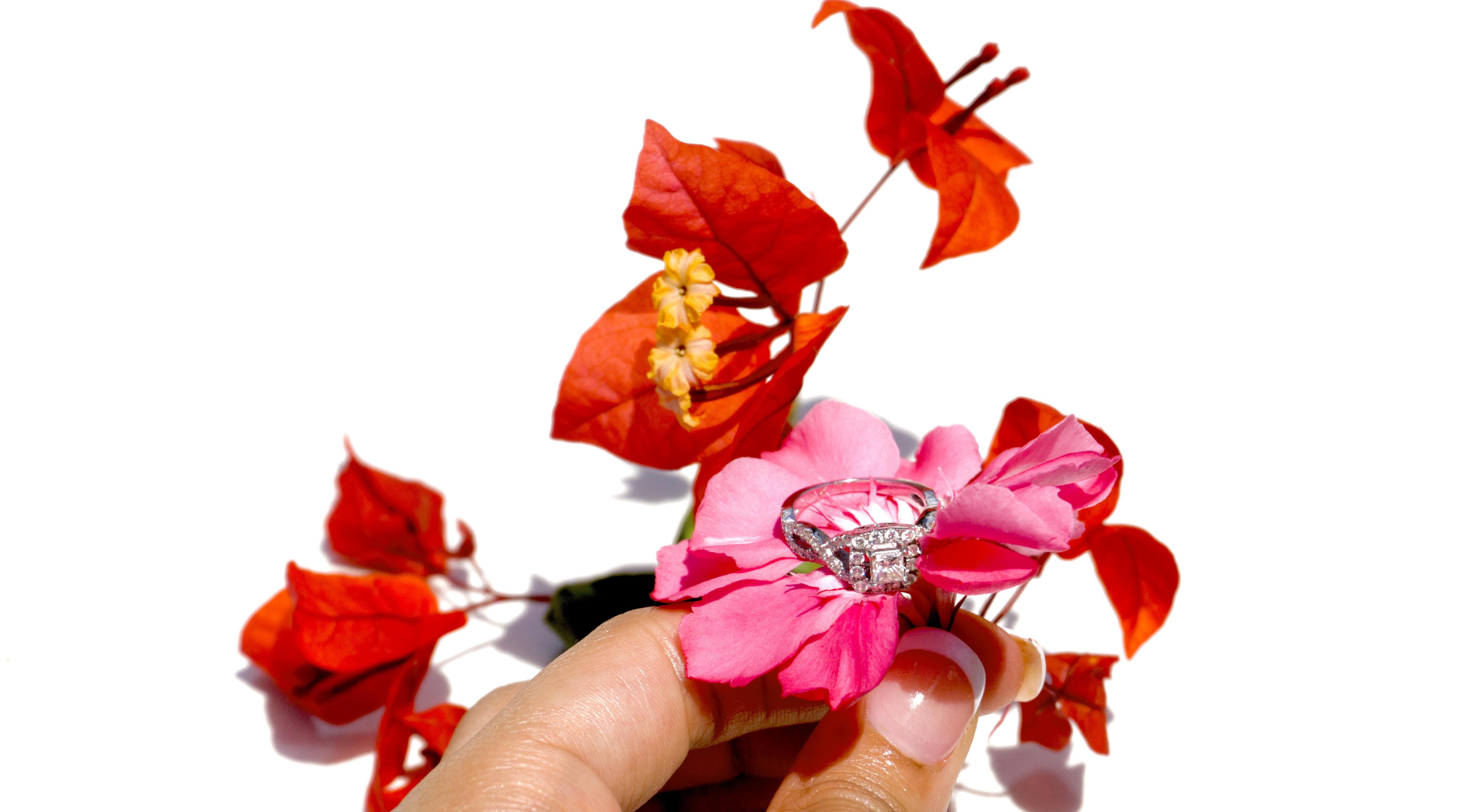 Footer image