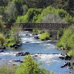 Shevlin Park