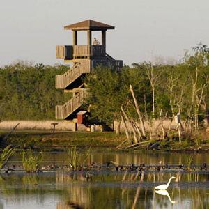 Texas State Parks Annual Pass