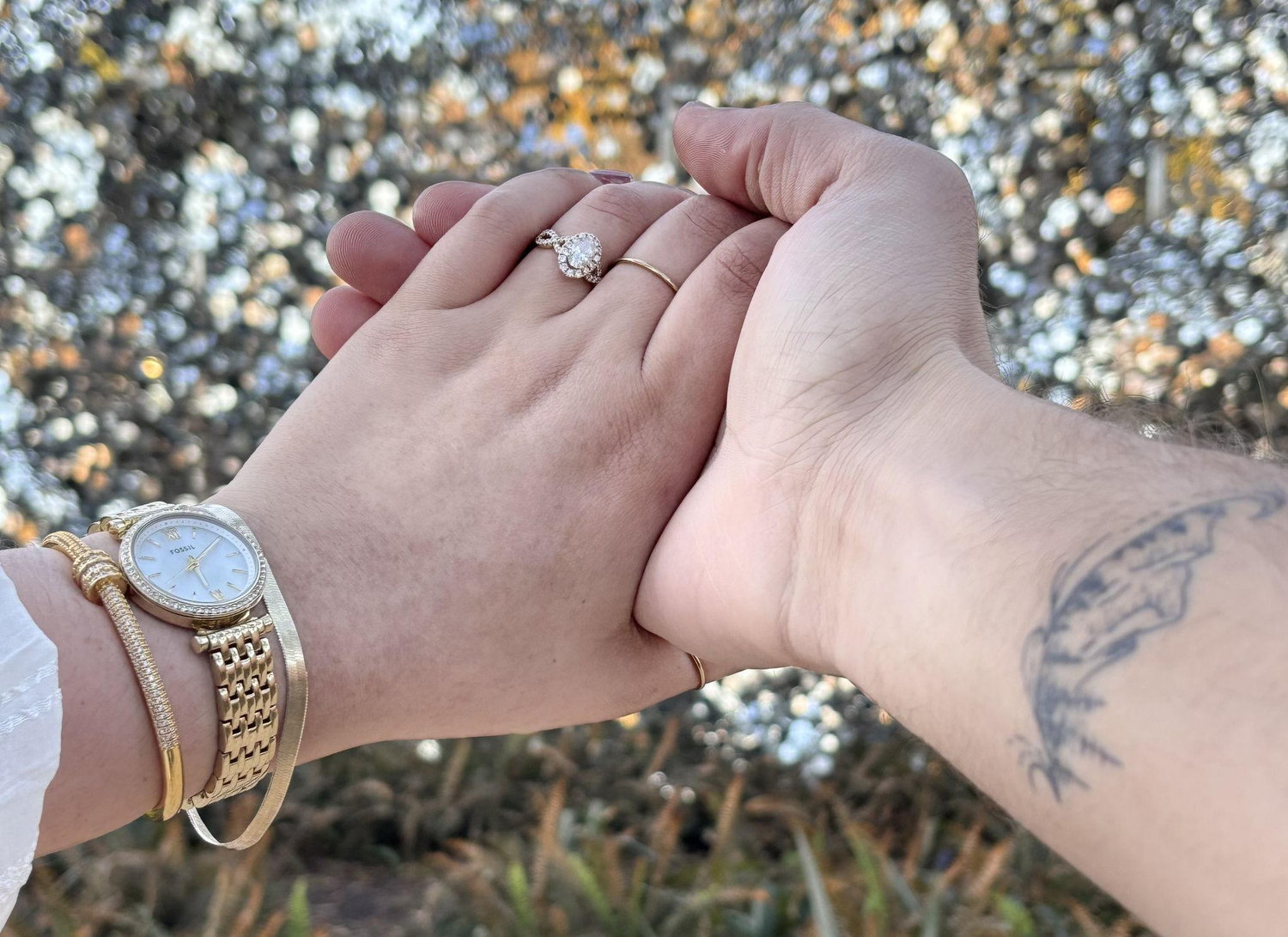 The Wedding Website of James Hajes and Natalie Dana