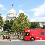 Bus Tour