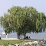 Riverfront Park