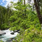 Ingalls Creek Trail