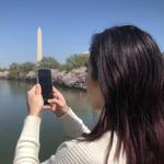 Tidal Basin Paddle Boats