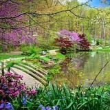 Edith J. Carrier Arboretum