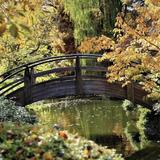Fort Worth Botanic Garden