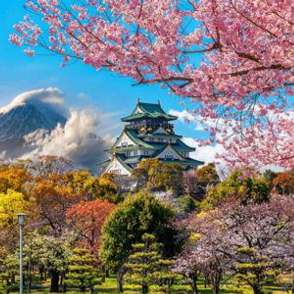 Honeymoon in Japan