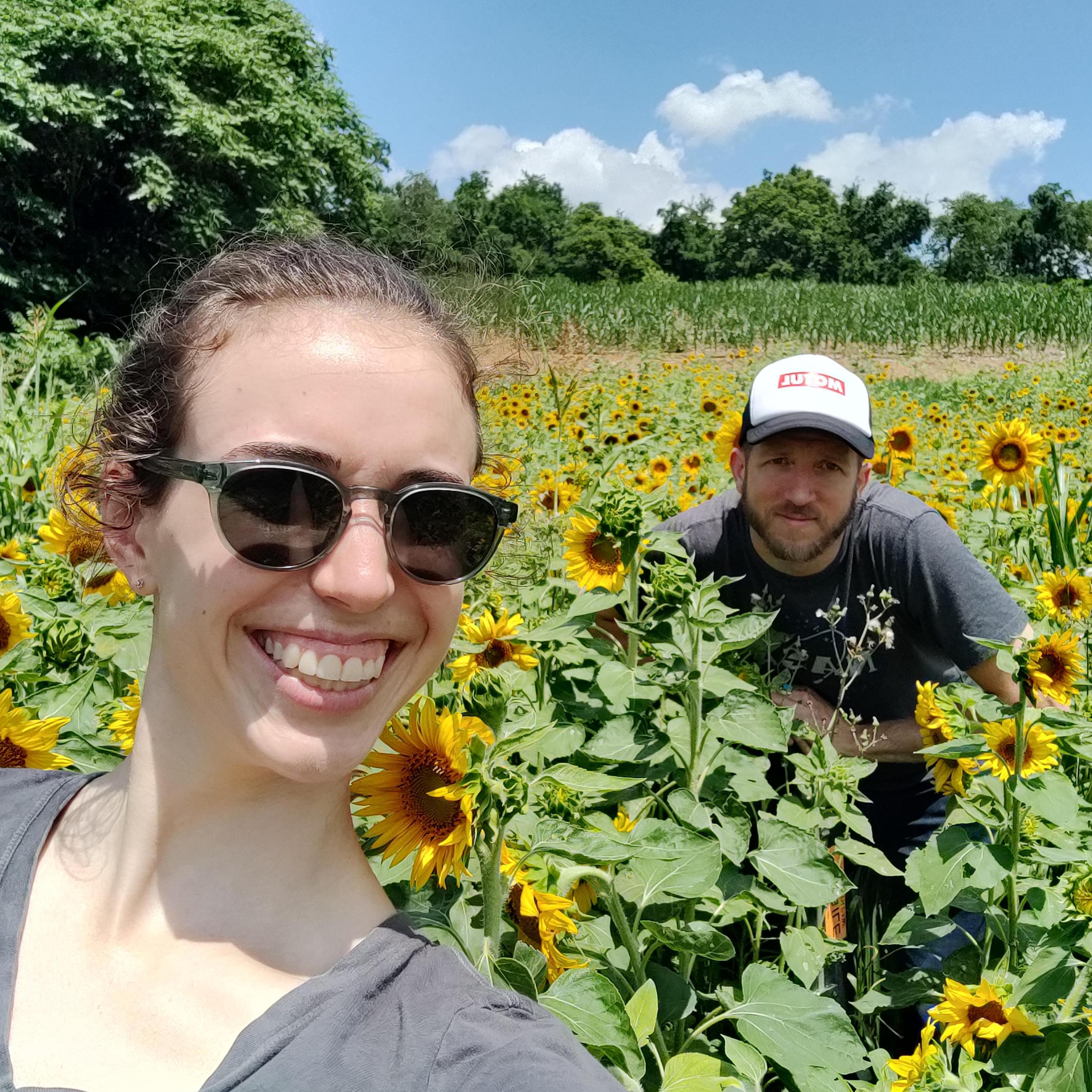 Sunflowers and sunshine!