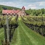Horton Vineyards