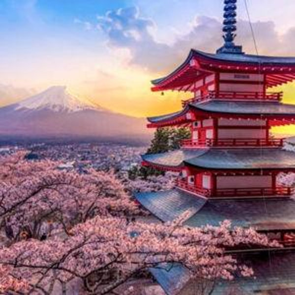 Honeymoon in Japan!