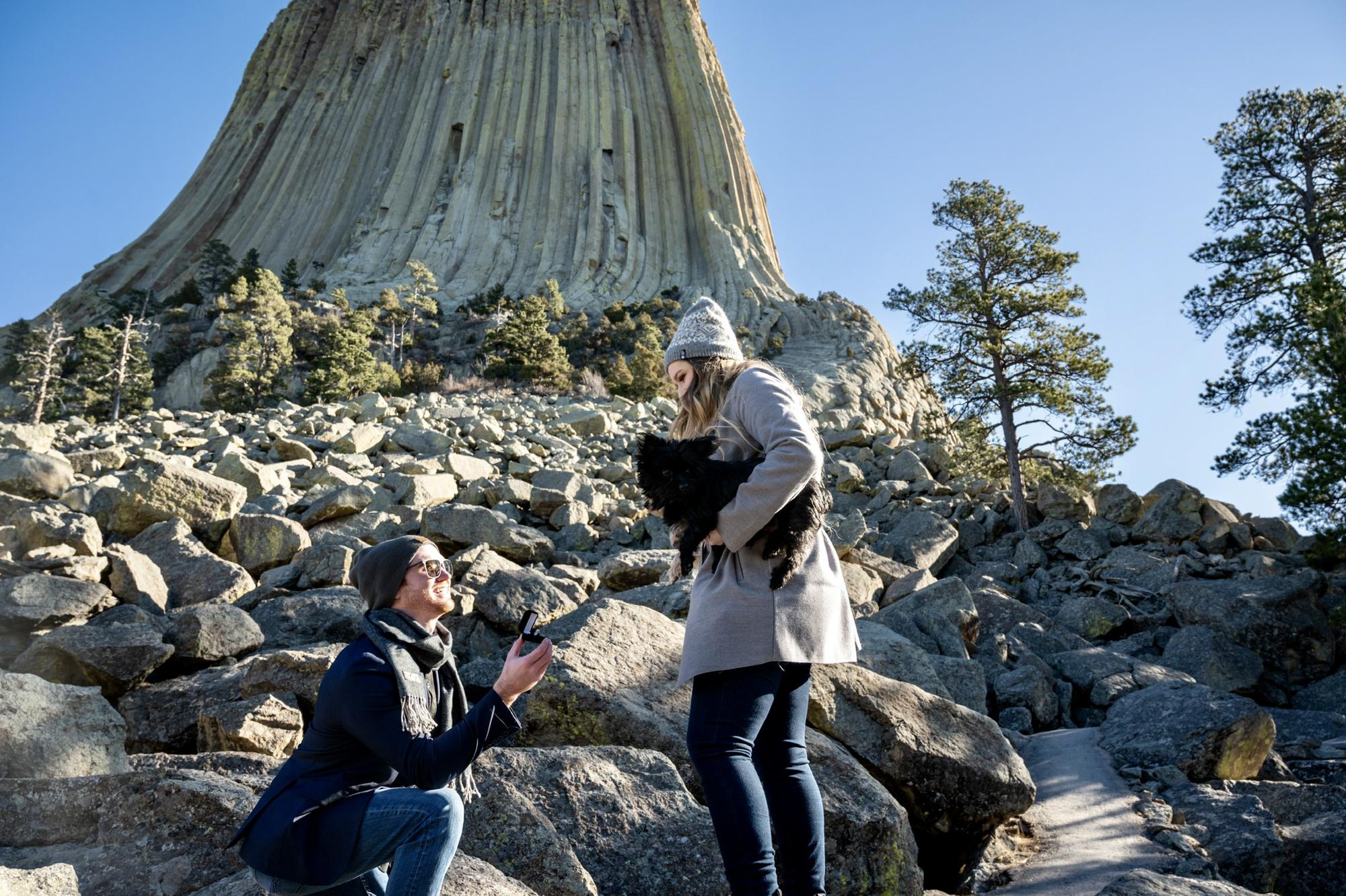 SURPRISE! Proposal - 2020