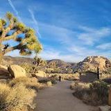Joshua Tree National Park