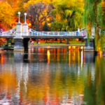 Boston Public Garden