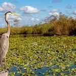 Everglades National Park