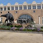 Fernbank Museum