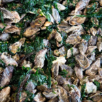 Hog Island Oyster Co