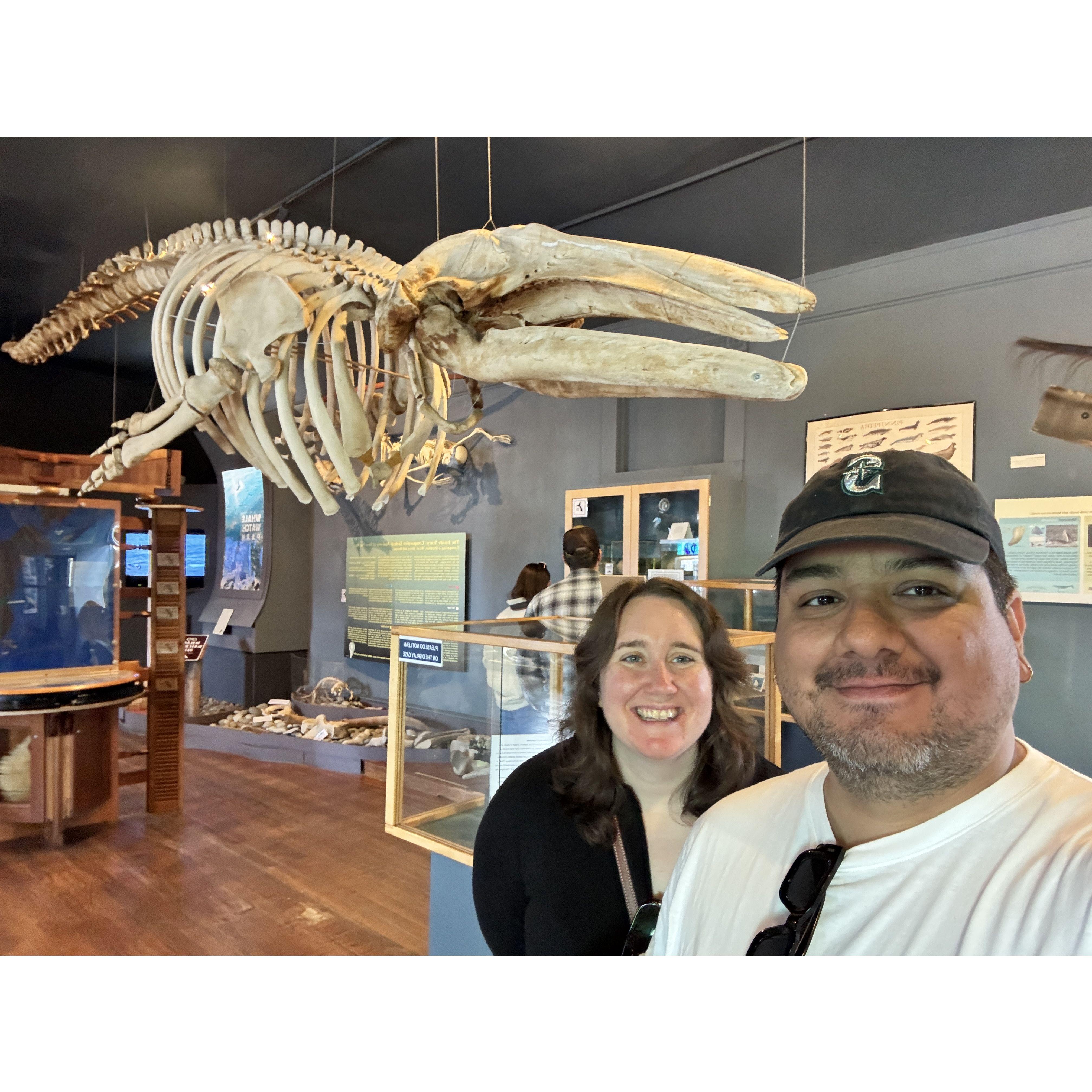 The Whale Museum in Friday Harbor